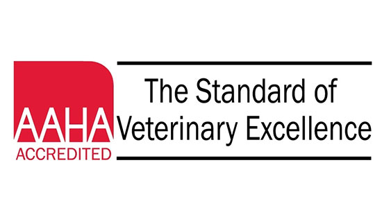 Logo of AAHA Accredited with the text "The Standard of Veterinary Excellence" next to a red emblem, symbolizing the commitment of every veterinarian to uphold exceptional standards.